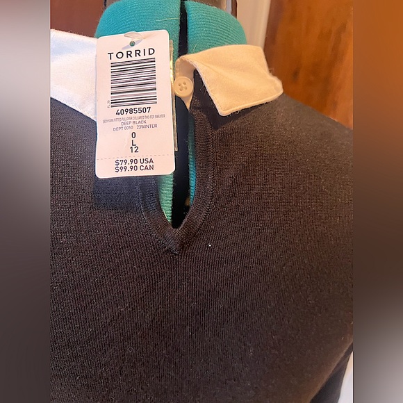 NWT: Torrid Fitted Pullover Collared 2-Fer Sweater - Picture 9 of 14